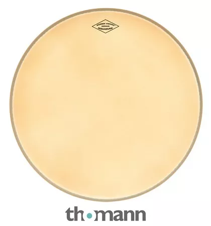 Aquarian 12" Modern Vintage Coated