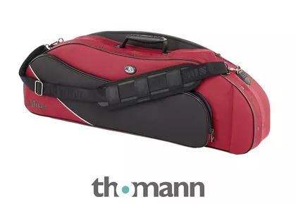 Artonus Elipe Violin Case 4/4 B2