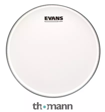 Evans 12" UV1 Coated Tom