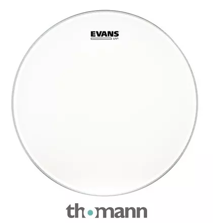Evans 16" UV1 Coated Tom